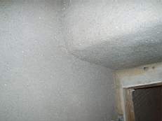 crobally 867.jpg