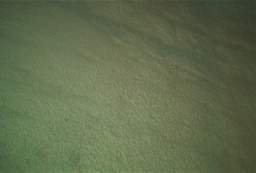 IM006583.JPG