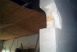ecoshop-1125.JPG
