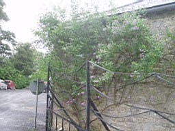 emocourt-1136.jpg