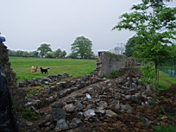 eyrecourtwall-1254.jpg
