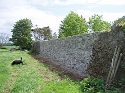 eyrecourtwall-1353.jpg