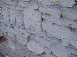 glenaphuca-1391.jpg