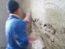 glenaphuca-2321.jpg
