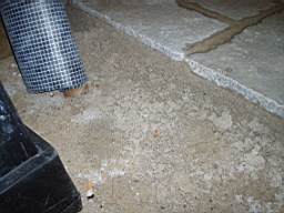 glenaphuca-2706.jpg