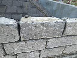 killeencastle-21500.jpg