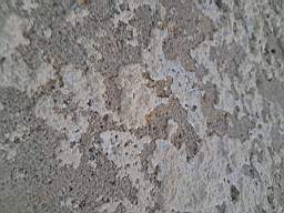 killeencastle-23340.jpg
