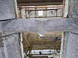 killeencastle-28720.jpg