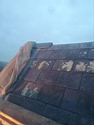 killeencastle-52480.jpg