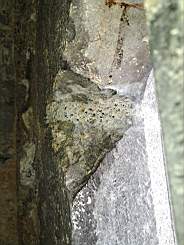 killeencastle-53000.jpg