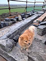 killeencastle-54290.jpg
