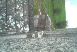 IM004909.jpg