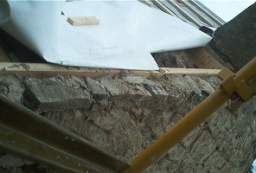 IM005810.JPG