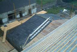IM005872.JPG