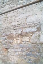 IM005907.JPG
