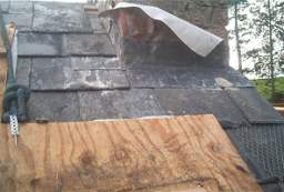 IM005980.JPG