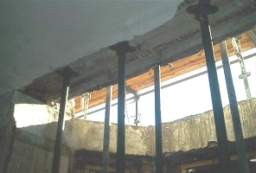 IM006080.JPG