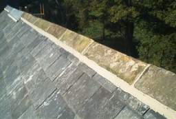 IM006095.JPG