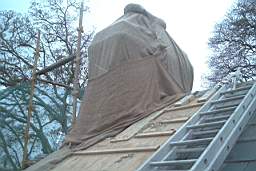 IM006308.JPG