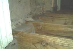 IM006320.JPG