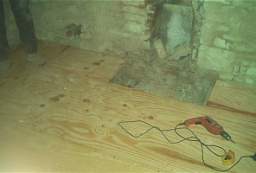 IM006464.JPG