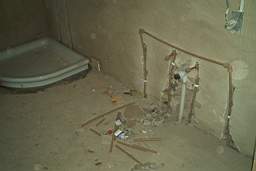 IM006486.JPG