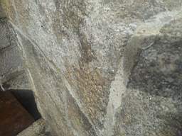 seapoint-1060.jpg
