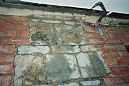 skerrysEarl-1356.jpg