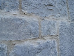 skerrysEarl-1583.jpg