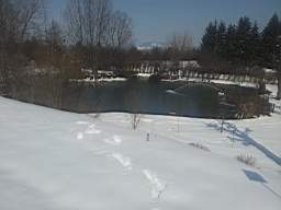 slovenia-hemp-10120.jpg