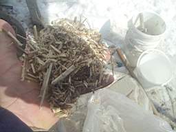 slovenia-hemp-10270.jpg