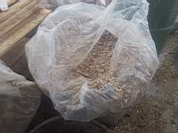 slovenia-hemp-10560.jpg