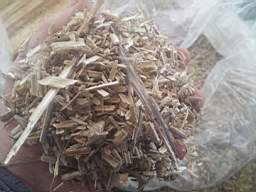slovenia-hemp-10570.jpg