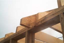 IM004851.JPG