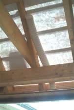 IM005402.JPG
