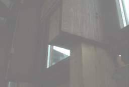 IM005407.JPG