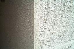 IM005582.JPG