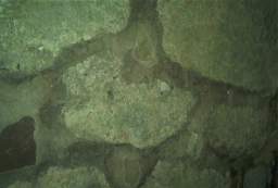 IM005995.JPG