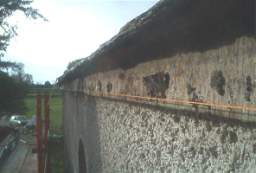 IM006237.JPG