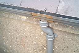IM006540.JPG
