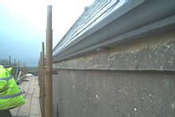 IM006541.JPG
