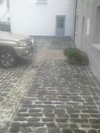 whitehall-4270.jpg